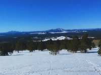 220305 06 recent adventure.jpg