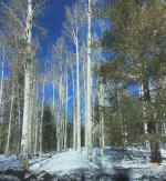 220305 08 recent adventure.jpg